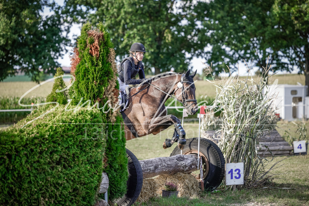 20250906-_3LI7589 | Tierfotografie Pferde, Hunde, Katzen, Haustiere.
Turnierfotografie Reitturniere, Reiten, Springreiten, Dressur in Hanau, dem Main-Kinzig-Kreis und dem Rhein-Main- Gebiet um Frankfurt