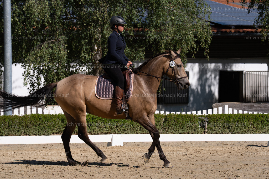 WA_DR_120_SinaFilmArt_IN01457 | working equitationturnier fotograf videograf stoibphotography marixx film working equitation deutschland reitsport turnierfotografie eventfotografie equestrian events
