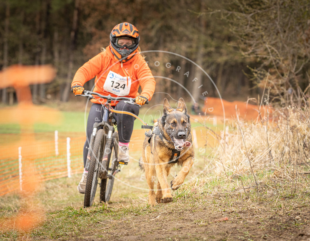 DV3A1150 | Hundefotografie, Tierfotograf, Pfotenfotografie, Fotoshooting Hund, Hunde Portrait, Hundesport, Hundeportraits, Heideshooting, Hunde, Sportfotograf, Hundefotograf, Turnierhundsport, THS,  - Realisiert mit Pictrs.com