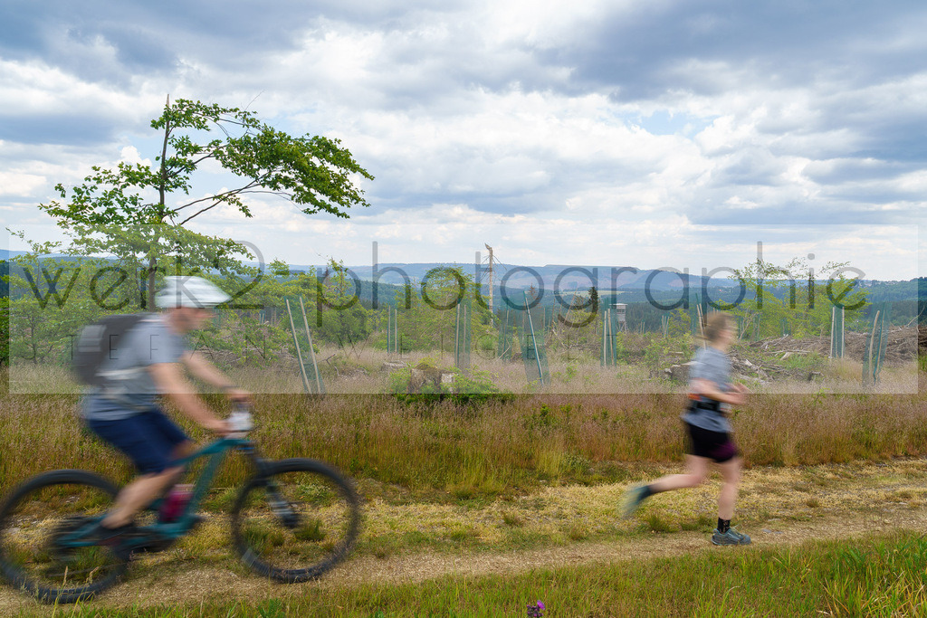 Rennsteig-Staffellauf 2023 | Rennsteig-Staffellauf - Hörschel bis Blankenstein - 17. Juni 2023