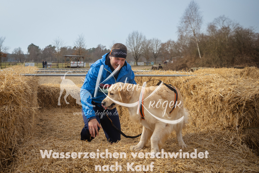 1113_ZZ92437 | kk-dogfotos