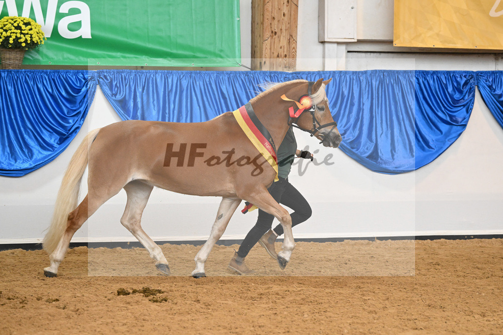 Kat-Nr. 259 Odette K_Kappelsberger_54223310 | hf-fotografie - Realisiert mit Pictrs.com