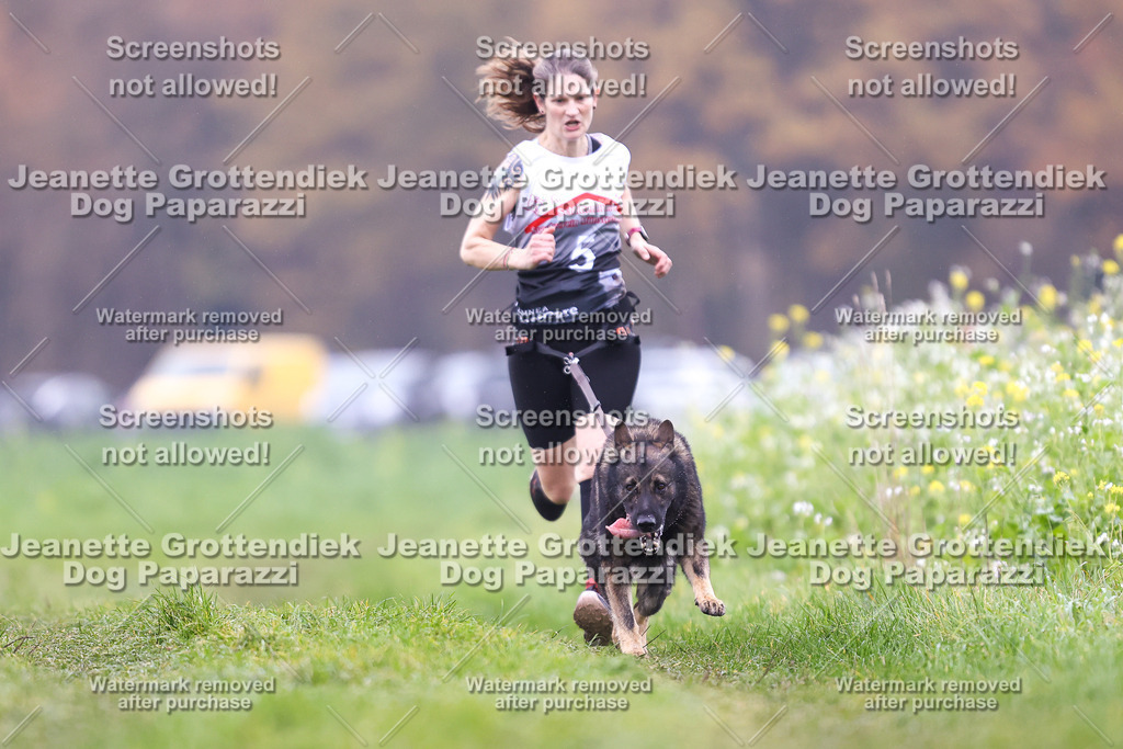 Dog Paparazzi - Visbeck 25 -806 | Dog Paparazzi Jeanette Grottendiek Fotografie & Videografie - Realisiert mit Pictrs.com