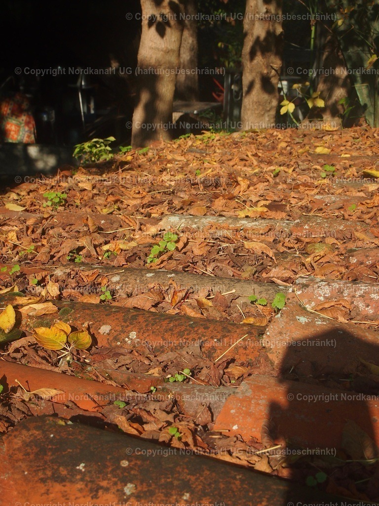 PA272066 | OLYMPUS DIGITAL CAMERA          - Realisiert mit Pictrs.com