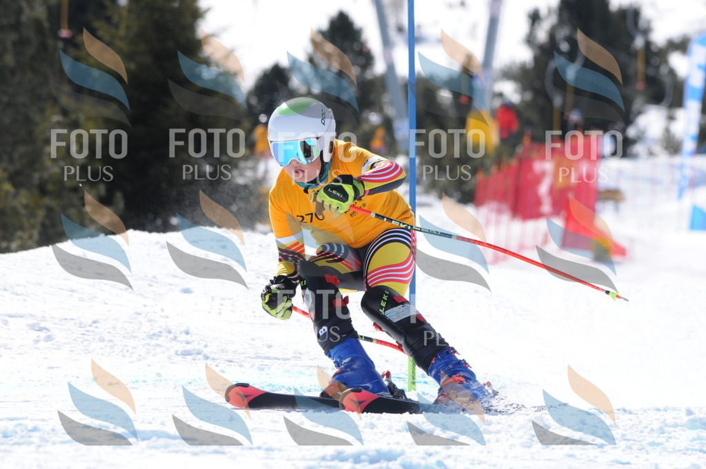 C8971 | holidayphoto