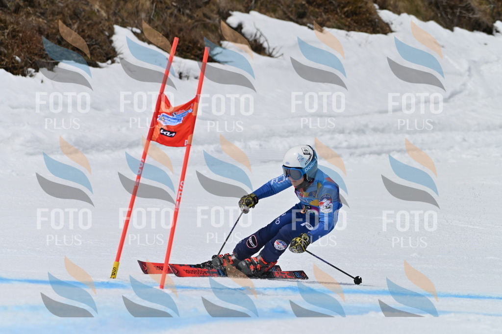 BGV_5002 | holidayphoto