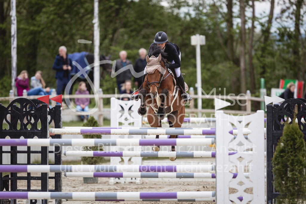 240428_Spenge_S-Spr-139 | Deine schönsten Turniermomente als professionelle Fotos! Entdecke hochwertige Pferdesport-Fotografie im Online-Shop. Jetzt Fotos finden & bestellen!