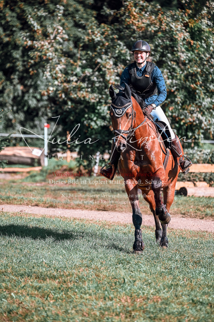 DSC_0572 | Pferde- und Turnierfotografie in Westsachsen. Pferdeportraits, Auftragszeichnungen und intuitive Kunst.