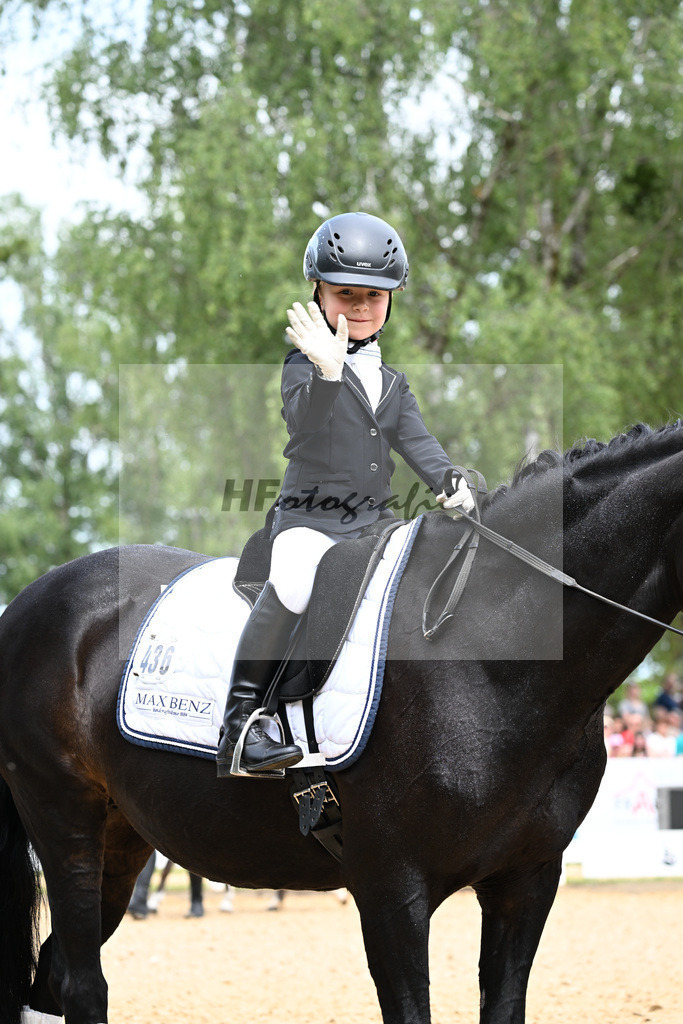 Nuernberger Burg Pokal Fuehrzuegelklasse_11256314 | hf-fotografie - Realizzato con Pictrs.com