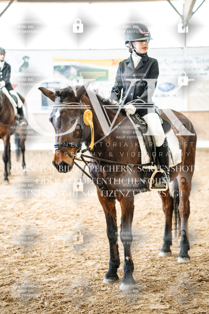 CK703116 | Turnierfotografie Pferdefotografie Trier Rheinland-Pfalz Pferdesport Reitsport Tierfotografie Sportfotografie Pferdevideo Pferdevideografie Equestrianvideography equestrianphotography  - Realisiert mit Pictrs.com