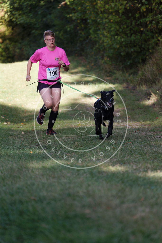 0L8A5625 | Hundefotografie, Tierfotograf, Pfotenfotografie, Fotoshooting Hund, Hunde Portrait, Hundesport, Hundeportraits, Heideshooting, Hunde, Sportfotograf, Hundefotograf, Turnierhundsport, THS,  - Realisiert mit Pictrs.com