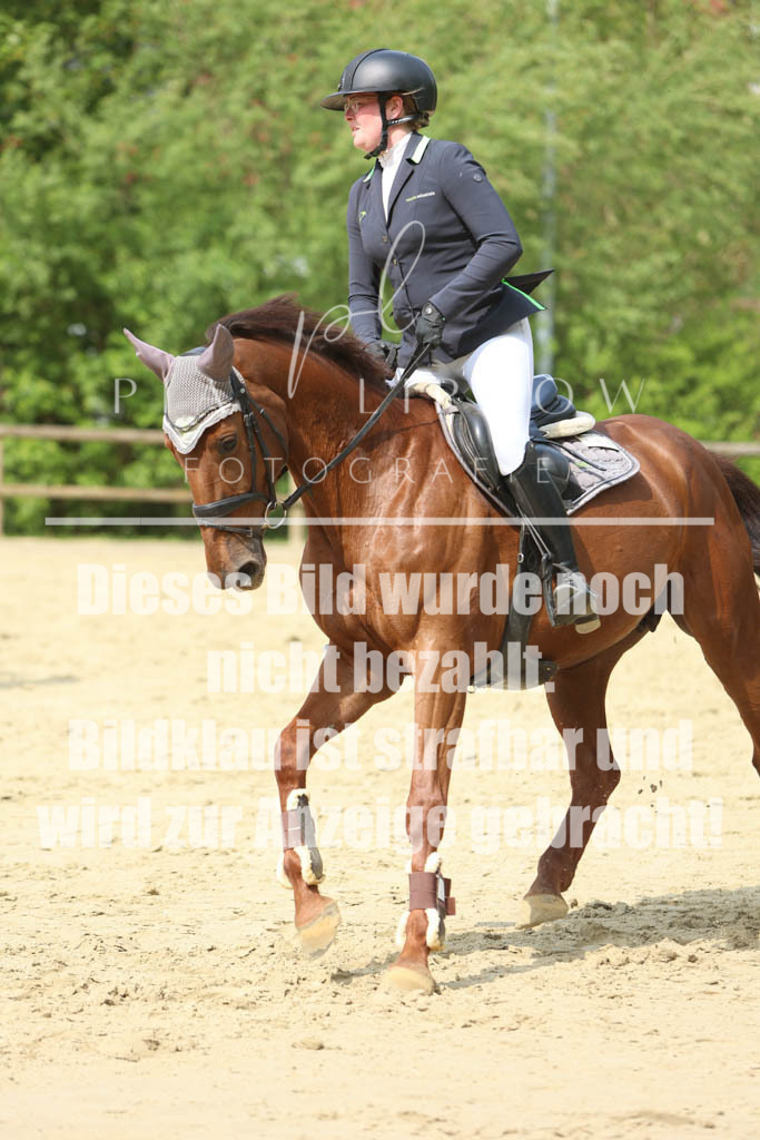 IMGM5948 | pl-fotografie