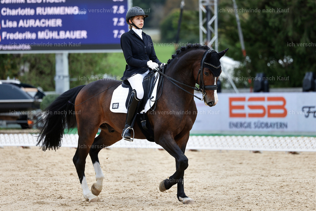 3-224-Dressur M_-StoibPH-2518 | working equitationturnier fotograf videograf stoibphotography marixx film working equitation deutschland reitsport turnierfotografie eventfotografie equestrian events