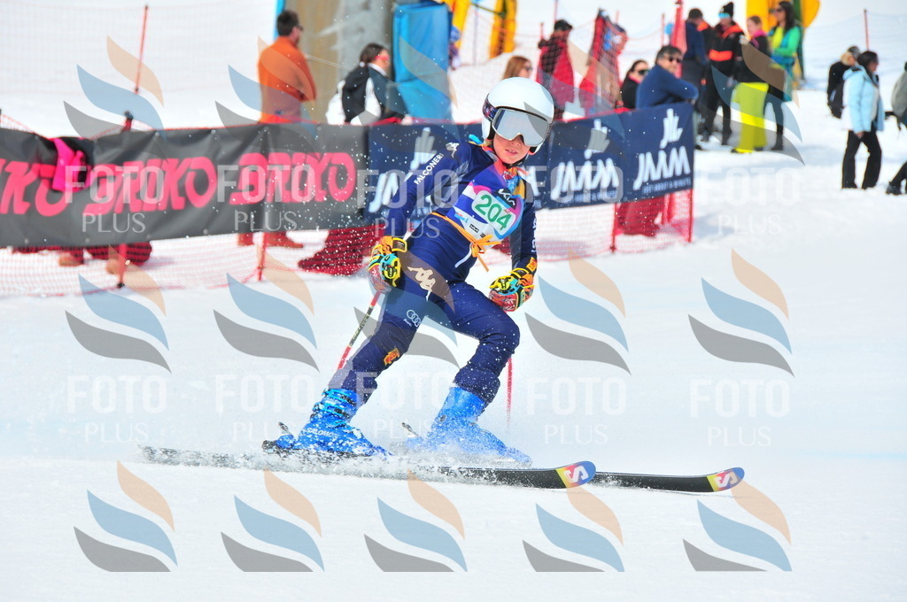 DSC_1869 | holidayphoto