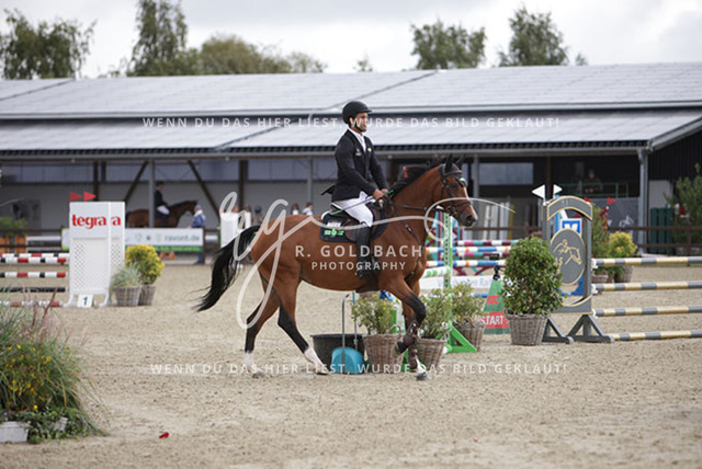 1J2A9497Simao Maio Reis_ Crystal Palace b_ Kn338_ Havekost | Foto- und Videografie für alles rund ums Pferd. Hochwertige Bilder und Videos vom Spring- und Dressurreiten, Voltigieren & mehr. Jetzt aktuelle Veranstaltungen und Preise im Shop ansehen. - Realisiert mit Pictrs.com