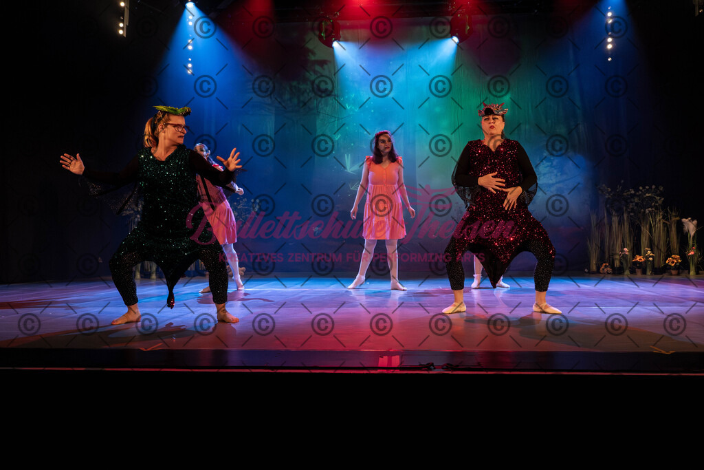 Ballettaufführung-994 | Bildershop Lem'n Entertainment - Realisiert mit Pictrs.com