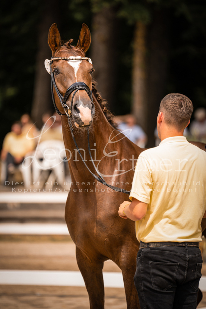 3.Fr00229 | Leoni Ertmer Photography - Realisiert mit Pictrs.com