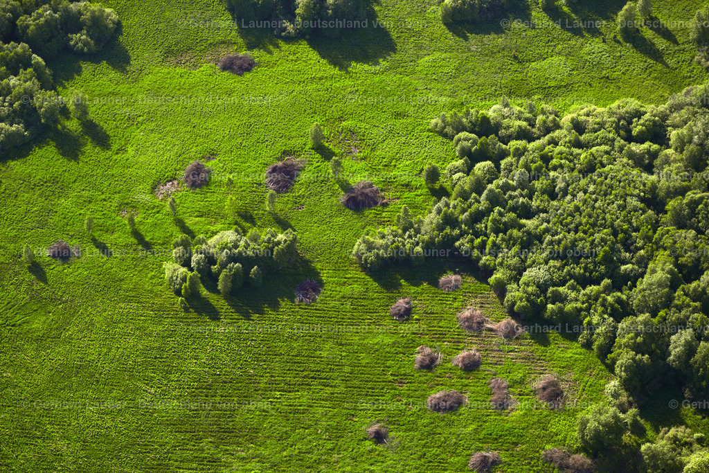 3620153 | Rotes Moor, Hochrhön