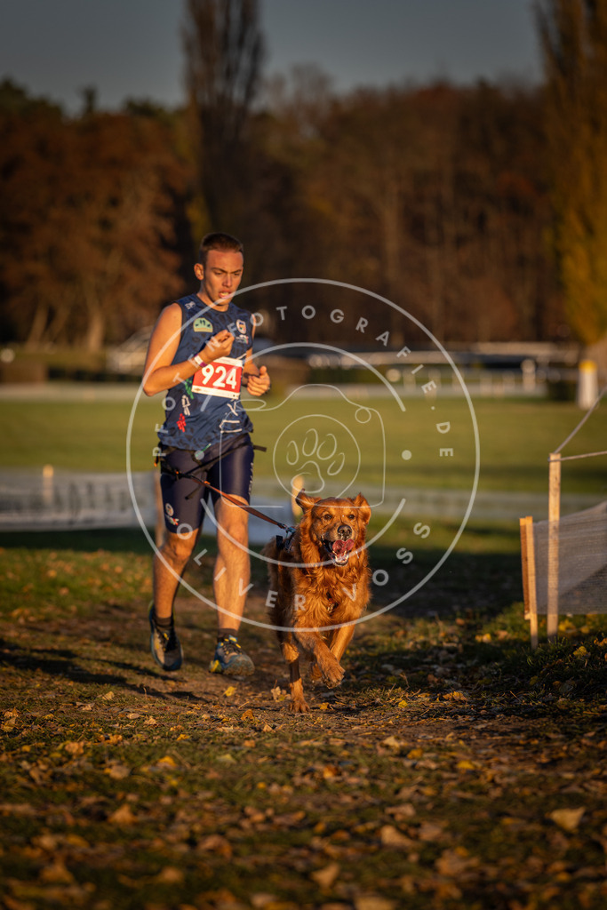 CaniXpix_DV3A4995 | Hundefotografie, Tierfotograf, Pfotenfotografie, Fotoshooting Hund, Hunde Portrait, Hundesport, Hundeportraits, Heideshooting, Hunde, Sportfotograf, Hundefotograf, Turnierhundsport, THS,  - Realisiert mit Pictrs.com