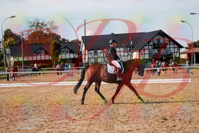 2026_10_03_Siefer-Hof_130843_Z63_70519307 | Professionelle Reitsport-, Turnier- und Eventfotografie von Robert Broda. Galerien mit ausgewählten und bearbeiteten Bildern direkt online ansehen und bestellen.