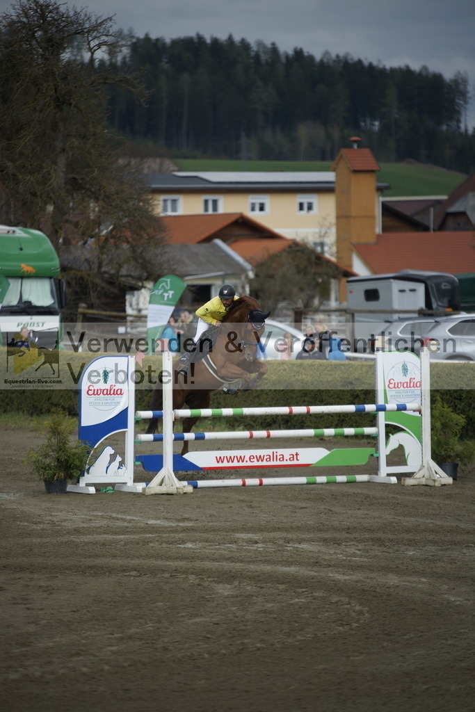 _DSC7866 | equestrian-live-com