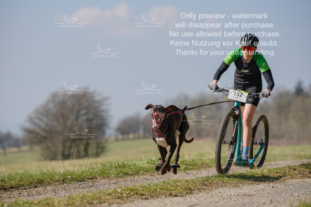 Scooter_Lang-75 | stephaniefillaphotographie - Realisiert mit Pictrs.com