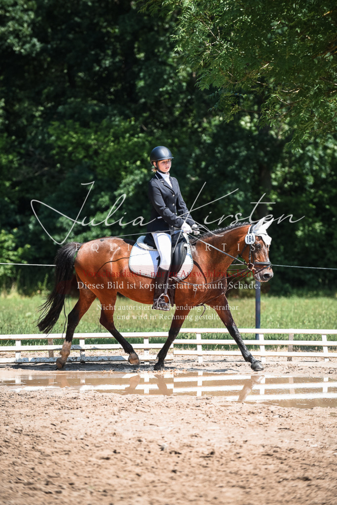 DSC_3042 | Pferde- und Turnierfotografie in Westsachsen. Pferdeportraits, Auftragszeichnungen und intuitive Kunst.