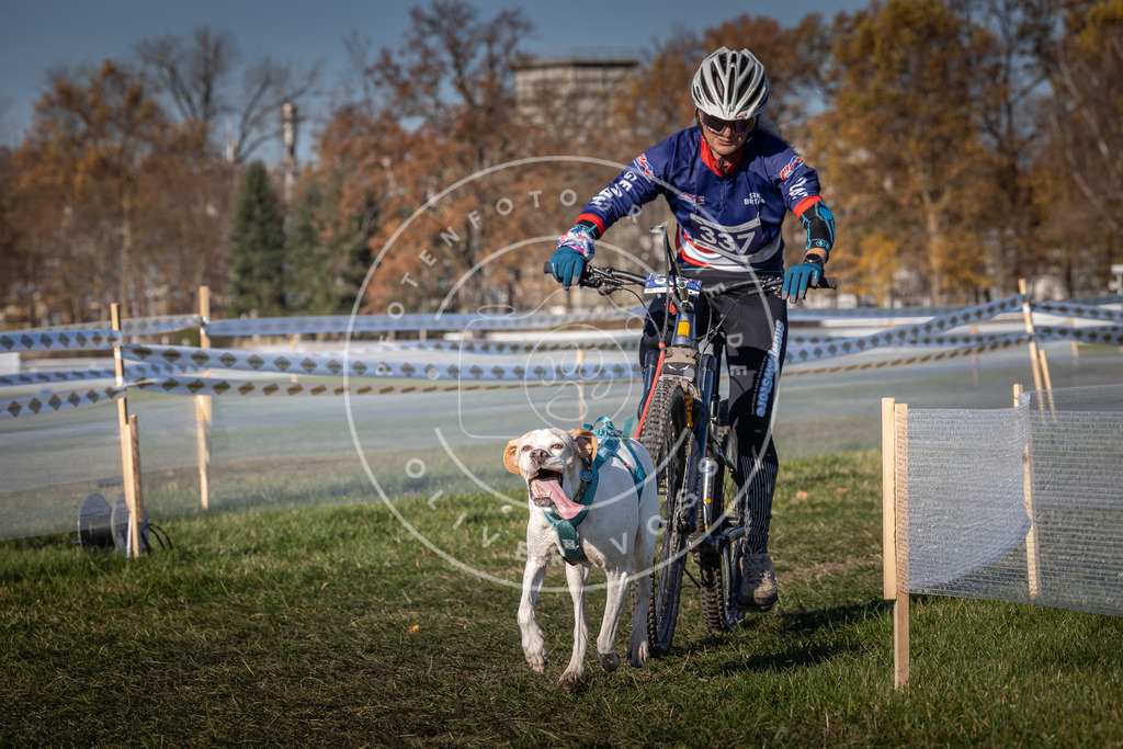 CaniXpix_0L8A5912 | Hundefotografie, Tierfotograf, Pfotenfotografie, Fotoshooting Hund, Hunde Portrait, Hundesport, Hundeportraits, Heideshooting, Hunde, Sportfotograf, Hundefotograf, Turnierhundsport, THS,  - Realisiert mit Pictrs.com