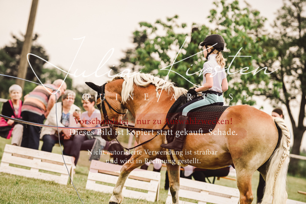 DSC_5245 | Pferde- und Turnierfotografie in Westsachsen. Pferdeportraits, Auftragszeichnungen und intuitive Kunst.
