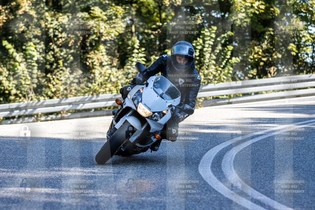 IMG_3339 | jrph - Realisiert mit Pictrs.com