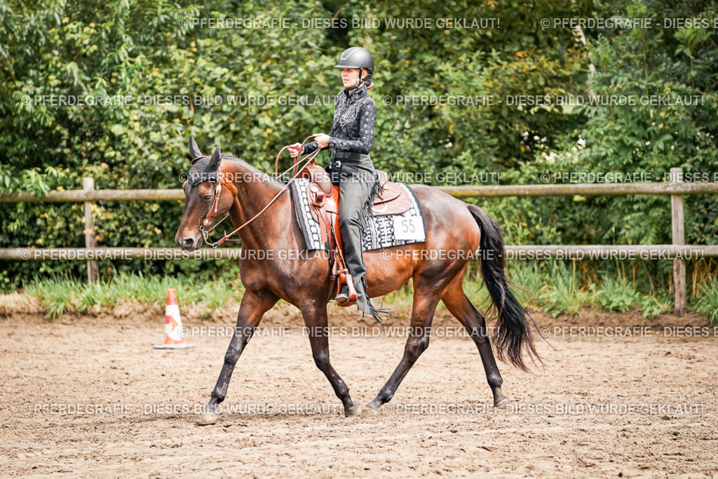 DSC04778 | Pferdegrafie