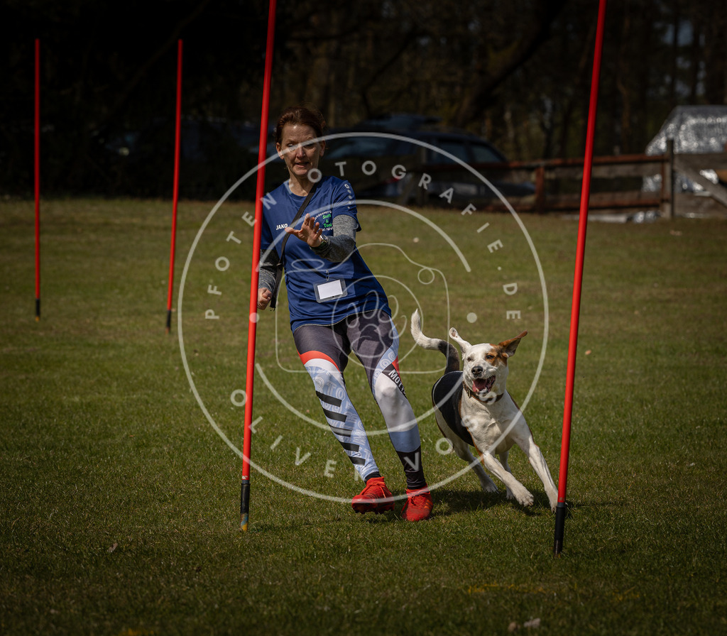 Pfotenfotografie_DV3A4466 | Hundefotografie, Tierfotograf, Pfotenfotografie, Fotoshooting Hund, Hunde Portrait, Hundesport, Hundeportraits, Heideshooting, Hunde, Sportfotograf, Hundefotograf, Turnierhundsport, THS,  - Realisiert mit Pictrs.com