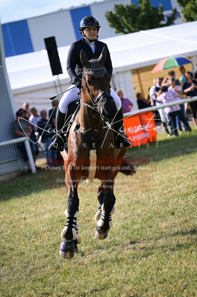 DSC_1188 | Pferde- und Turnierfotografie in Westsachsen. Pferdeportraits, Auftragszeichnungen und intuitive Kunst.