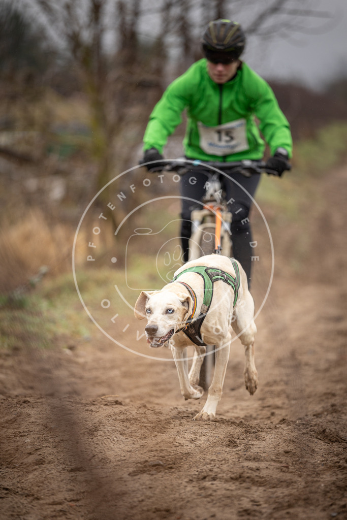 DV3A8978 | Hundefotografie, Tierfotograf, Pfotenfotografie, Fotoshooting Hund, Hunde Portrait, Hundesport, Hundeportraits, Heideshooting, Hunde, Sportfotograf, Hundefotograf, Turnierhundsport, THS,  - Realisiert mit Pictrs.com