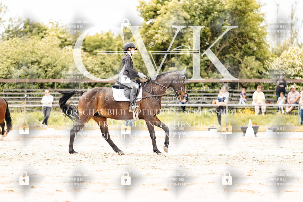 CK902832 | Turnierfotografie Pferdefotografie Trier Rheinland-Pfalz Pferdesport Reitsport Tierfotografie Sportfotografie Pferdevideo Pferdevideografie Equestrianvideography equestrianphotography  - Realisiert mit Pictrs.com
