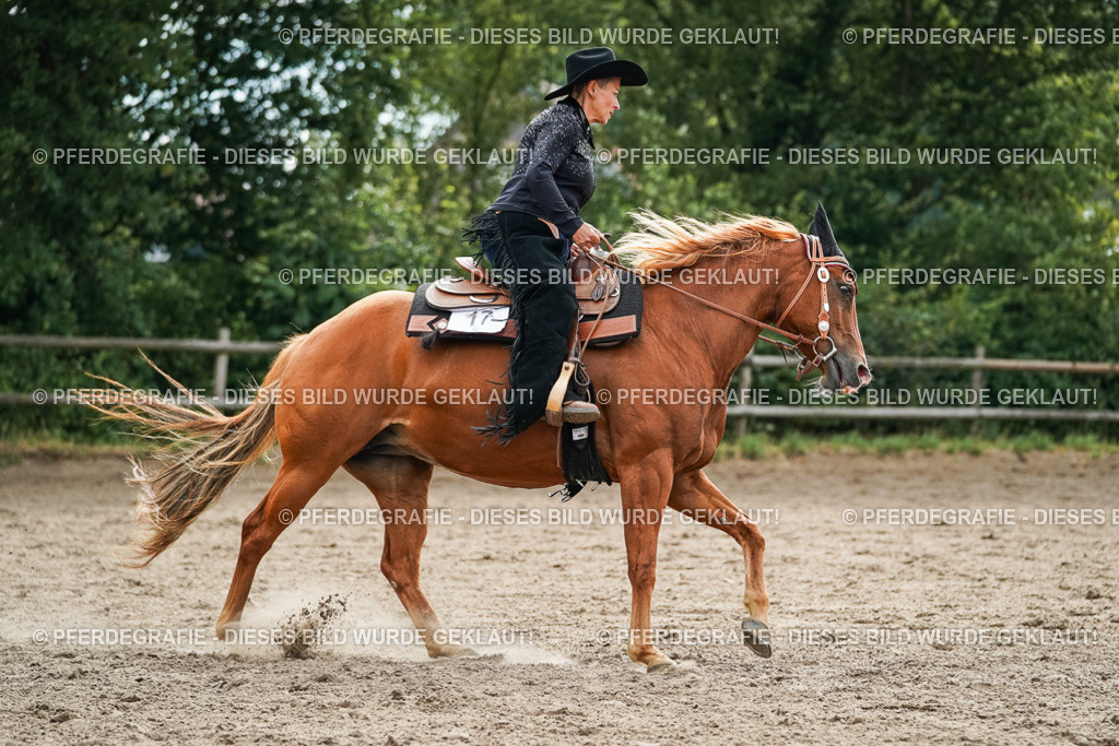 DSC03670 | Pferdegrafie