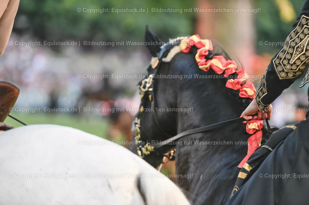 20230526_Pferdenacht_0795 | equistock