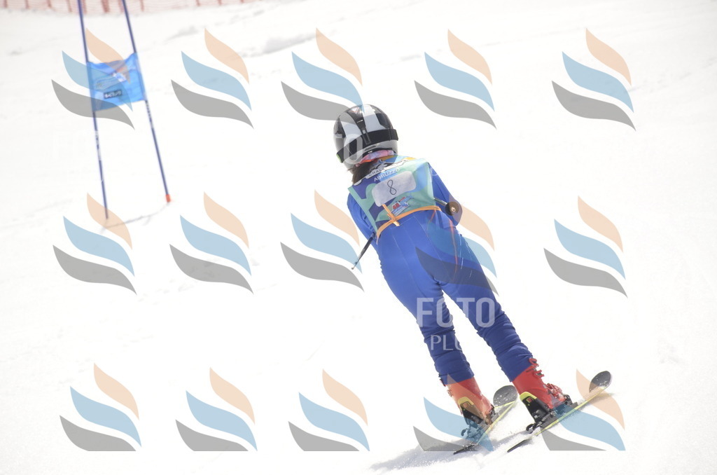 _ELE8548 | holidayphoto