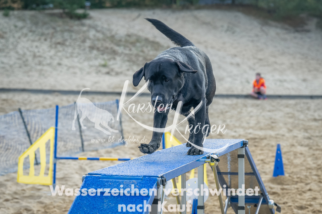 0906_ZZ91856-Bearbeitet | kk-dogfotos
