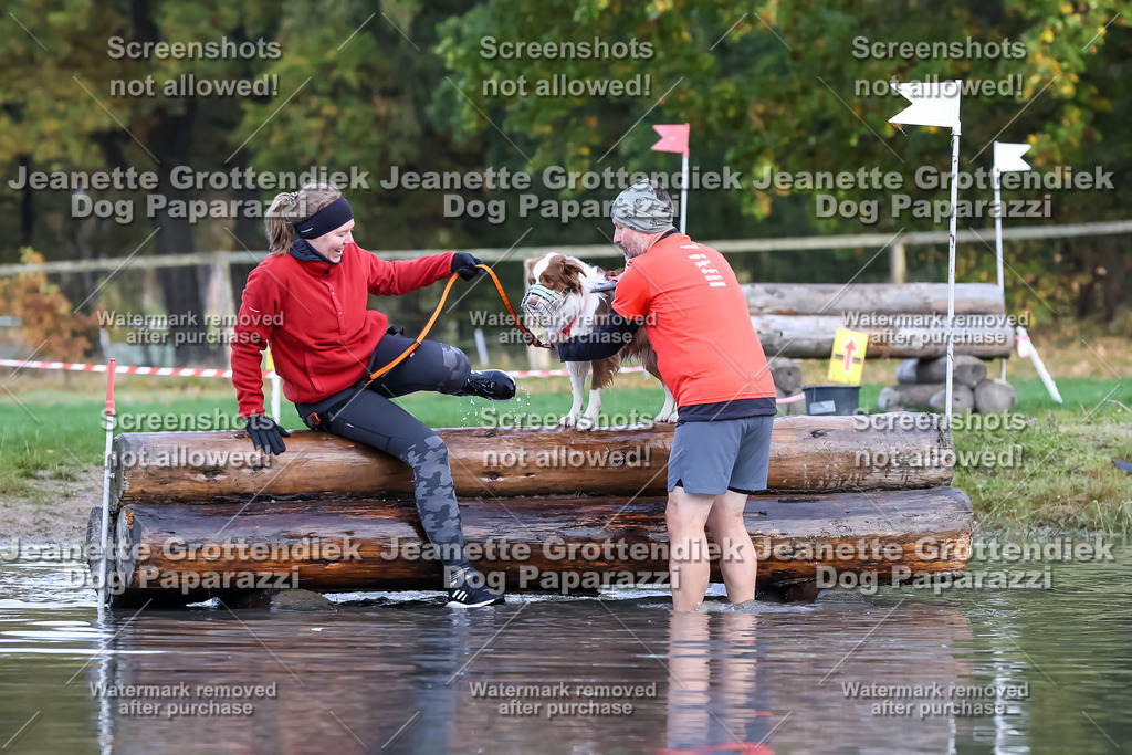 Dog Paparazzi - Strongdog 10-25-6671 | Dog Paparazzi Jeanette Grottendiek Fotografie & Videografie - Realisiert mit Pictrs.com