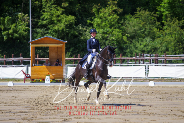 DKP42313 | Turniersportfotografie; Pferdefotografie; Dressurfotografie