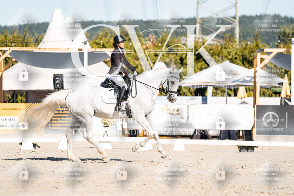 CK907484 | Turnierfotografie Pferdefotografie Trier Rheinland-Pfalz Pferdesport Reitsport Tierfotografie Sportfotografie Pferdevideo Pferdevideografie Equestrianvideography equestrianphotography  - Realisiert mit Pictrs.com