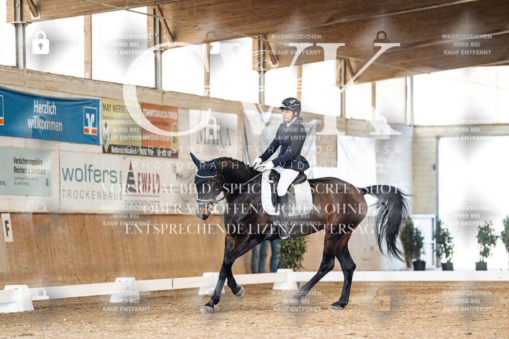 CK901392 | Turnierfotografie Pferdefotografie Trier Rheinland-Pfalz Pferdesport Reitsport Tierfotografie Sportfotografie Pferdevideo Pferdevideografie Equestrianvideography equestrianphotography  - Realisiert mit Pictrs.com