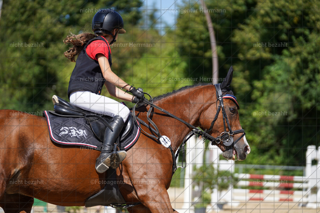 20240824-FAH08268 | Thierhaupten 2024, Bayerisches Landesponyturnier, Turnierbilder, Ponybilder, Turnierfotografen Bayern, Fotoagentur Herrmann