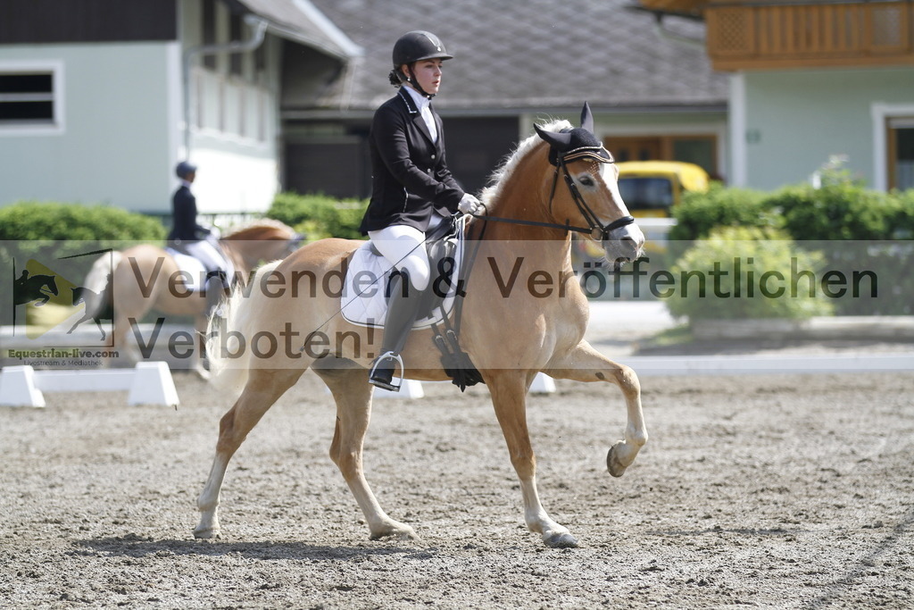 _MG_9865 | equestrian-live-com