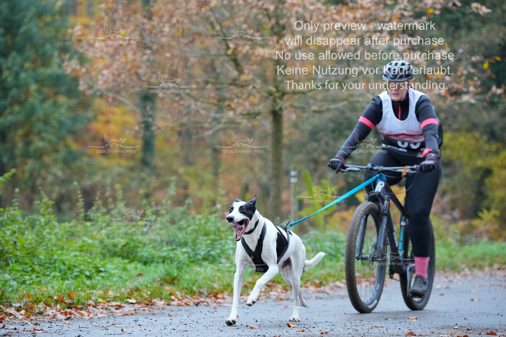 Bike_So-76 | stephaniefillaphotographie - Realisiert mit Pictrs.com