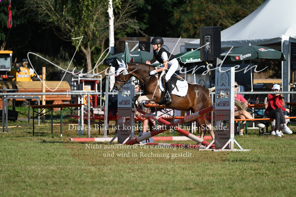 DSC_4782 | Pferde- und Turnierfotografie in Westsachsen. Pferdeportraits, Auftragszeichnungen und intuitive Kunst.