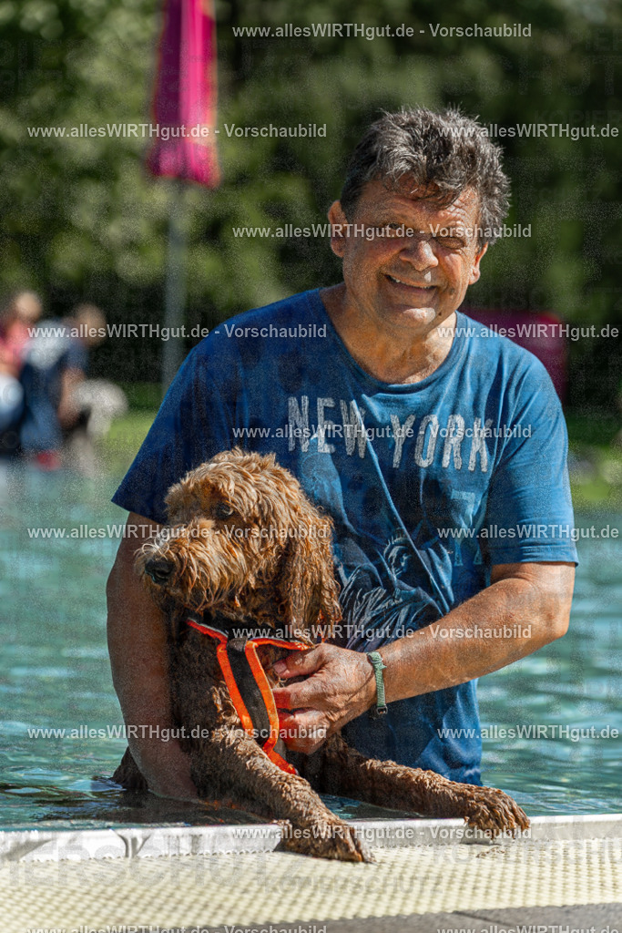Hundeschwimmen_Volksbad_2026-allesWIRTHgut_Tierfotografie-2609061254-120425-7R500287 | Professionelle Tierfotografie in Mönchengladbach von Daniel Wirth (allesWIRTHgut). Liebevolle & natürliche Bilder von Hunden & Katzen für unvergessliche Erinnerungen.