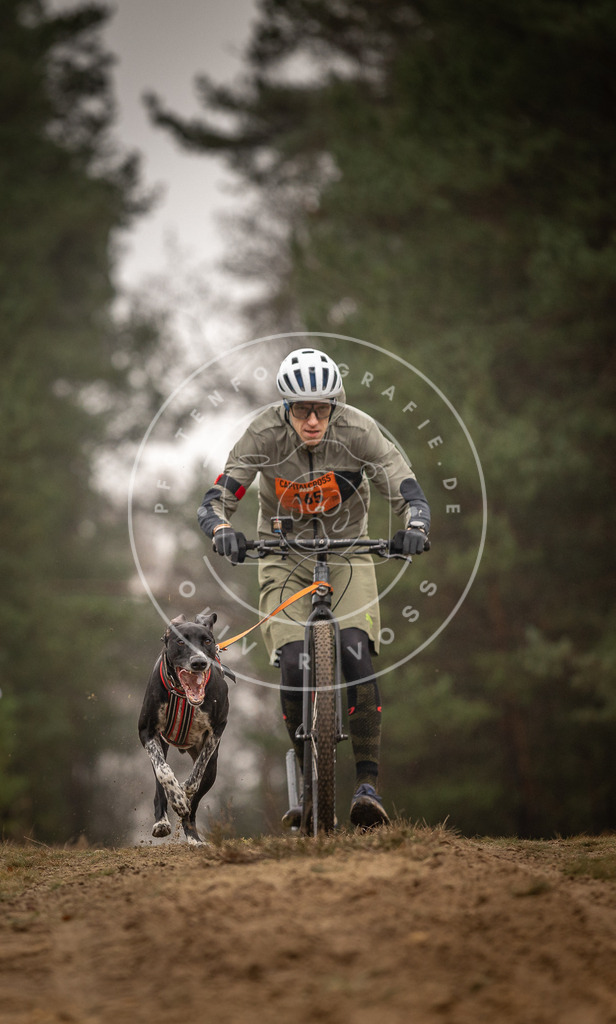 Pfotenfotografie_DV3A4377 | Hundefotografie, Tierfotograf, Pfotenfotografie, Fotoshooting Hund, Hunde Portrait, Hundesport, Hundeportraits, Heideshooting, Hunde, Sportfotograf, Hundefotograf, Turnierhundsport, THS,  - Realisiert mit Pictrs.com