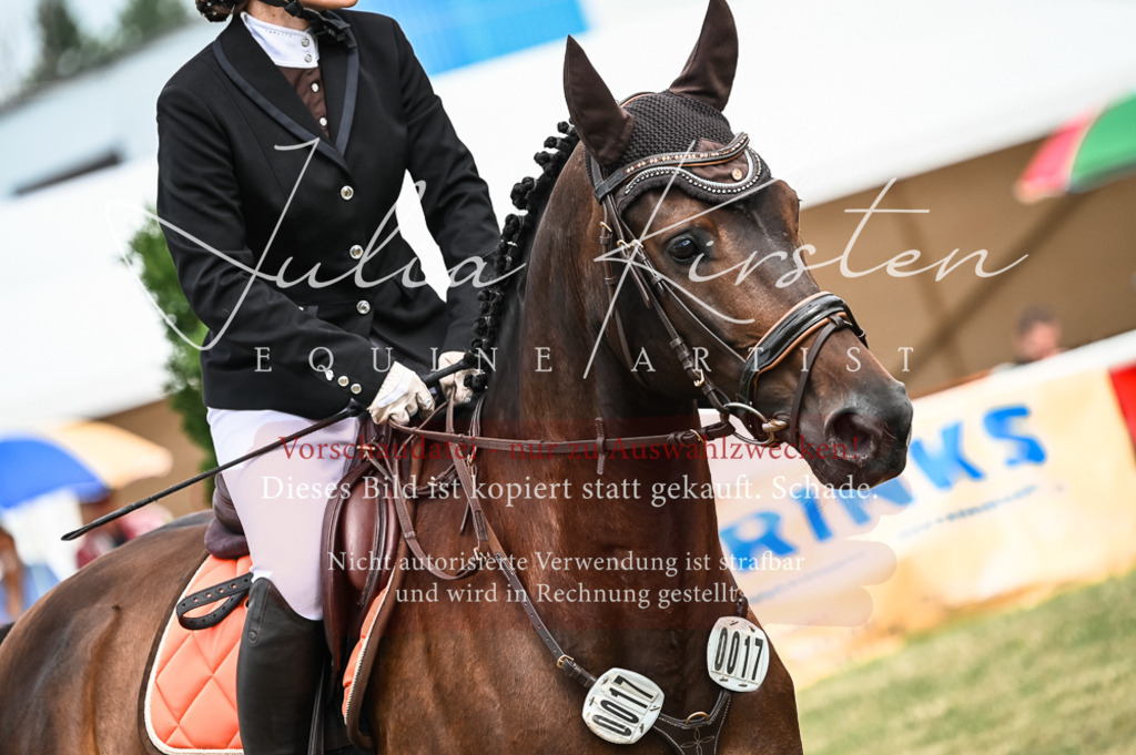 DSC_8276 | Pferde- und Turnierfotografie in Westsachsen. Pferdeportraits, Auftragszeichnungen und intuitive Kunst.